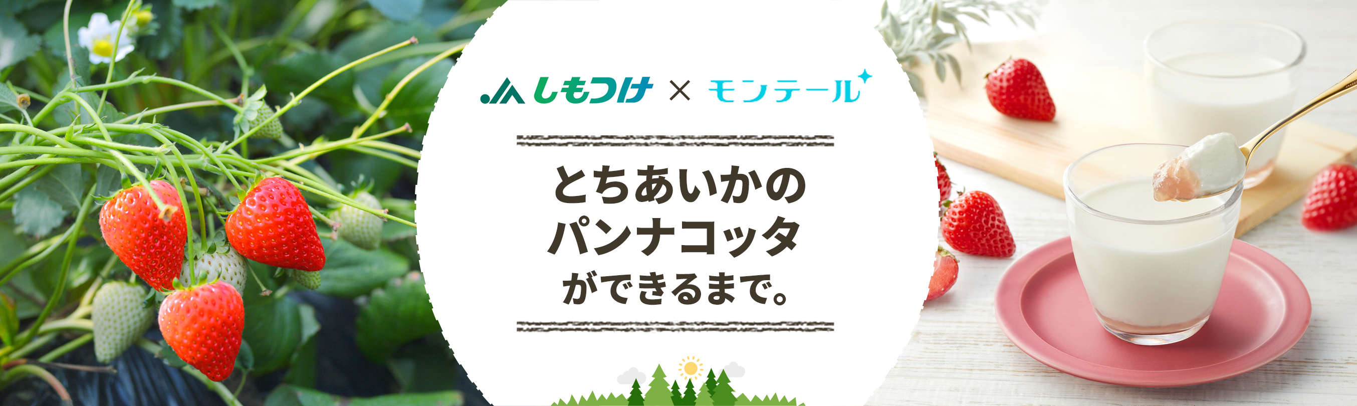 とちあいかのパンナコッタができるまで。とちあいか×モンテール